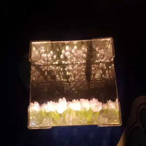 Lampu Cermin Tulip Bentuk Awan DIY Bunga Tulip Lampu Tulip hadiah ulang tahun pacar
