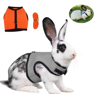 Mesh Breathable Rabbit Harness and Leash Set for Rabbits Ferrets Bunny Accessories Cat Rope Harnesses Pet Supplies arnes conejo