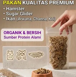 Maggot Kering BSF Premium untuk Sugar Glider Hamster Ikan Makanan Hewan Peliharaan Berkualitas Tinggi