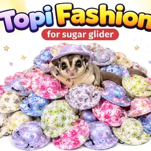 Topi Hamster Sugar Glider Tupai Burung Aksesoris Hewan Kecil Pet Fashion Putih Hijau Pink Coklat Ungu dengan Karet Hitam helm topi santa