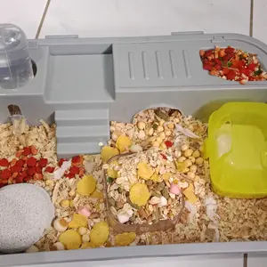 Snack hamster paket lengkap 10 macam - makanan ringan hamster