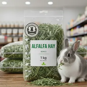 Rumput Hay Alfalfa Australia 1 kg untuk Kelinci Muda & Dewasa, Makanan Marmut Hamster Guneapig dan Sulcata, Kaya Protein 17% & Serat Kasar