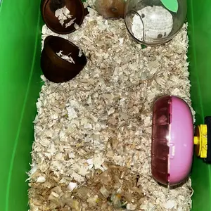 DOS Botol minum Hewan 80 ml tempat Minum Gantung Hamster dan Kelinci Hewan Peliharaan