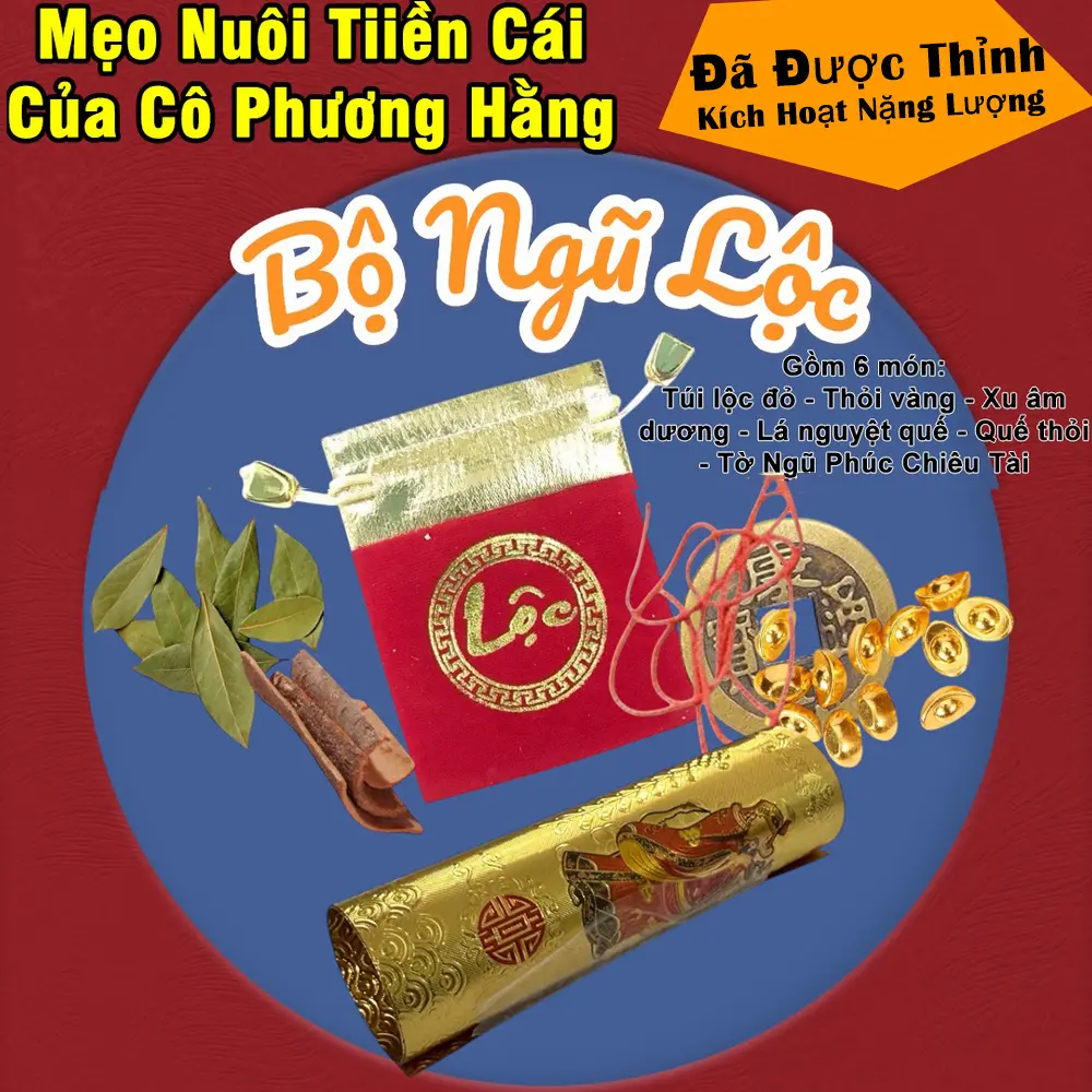 <Mẹo của Cô Phương Hằng> Bộ Ngũ Lộc 6 Món Chiêu Tài Phhong Thủy Đài Looan. Túi Nhung Lộc, Thỏi Vàng, X.u Â.m Dương, Lá Nguyệt Quế, Vỏ Quế, Tờ Ngũ Phúc Chiiêu Tài