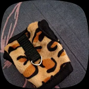 Baju tuntunan untuk sugar glider/tupai/hamster (size XS)