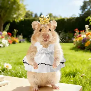 Dress Baju Hamster Lucu Premium Pakaian Hewan Kecil Hamster Pas Aman Tidak Iritasi Nyaman Dipakai