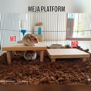 MT1 Meja Platform, meja tatakan hamster, meja kayu hamster
