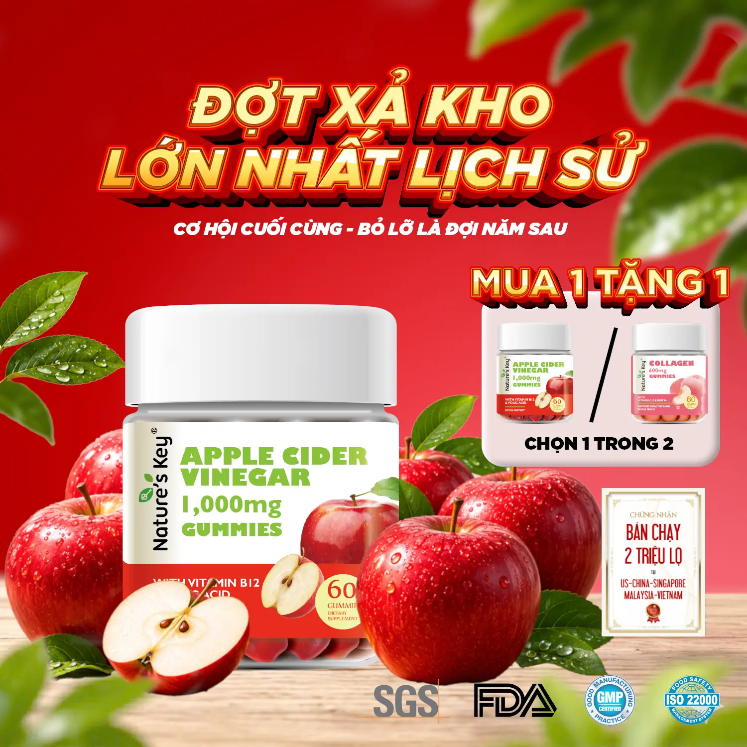 [SALE 80%-MUA 1 TẶNG 1] Kẹo Dẻo Giấm Táo Hỗ Trợ Tiêu Hóa - 1000mg Giấm Táo Nguyên Chất - NATURE'S KEY