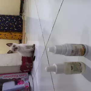 Golden Paw - EarmitesHeal 15ml Cairan Pembersih Telinga Kucing Alami & Aman Mengatasi Infeksi Kutu & Jamur Membersihkan Kotoran & Menghilangkan Bau