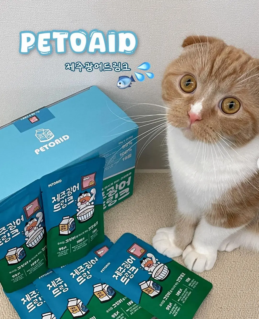 sopu ikan untuk kucing petoid dari jeju korea
