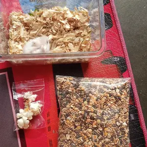 MAKANAN HAMSTER PREMIUM MIX 250gr, BONUS POPCORN, TANPA PELET & BEBAS KUTU!!