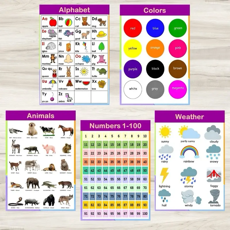 Laminated chart/ Educational Chart for kids A4 size - TikTok Shop ...