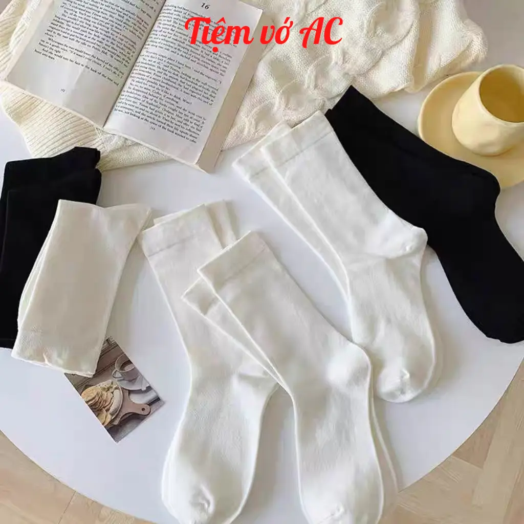 Tất nữ cao cổ Sét 10 đôi Tất nữ cổ nhún 3 màu đen trắng kem T121 tất  dolly
