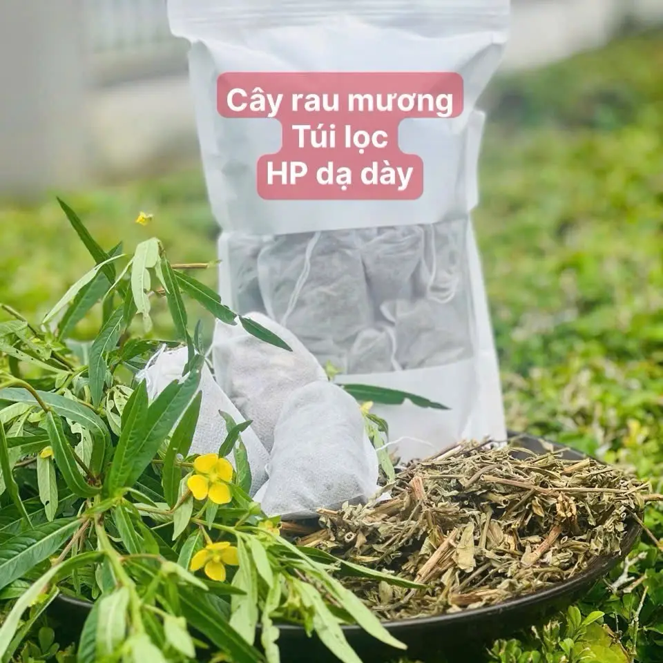 30 túi lọc cây rau mương khô thượng hạng Nước Trà